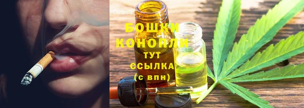 прущие крисы Белокуриха