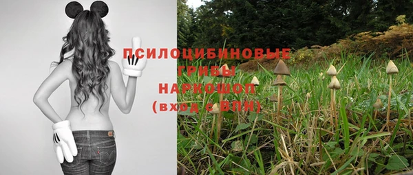 прущий лед Беломорск
