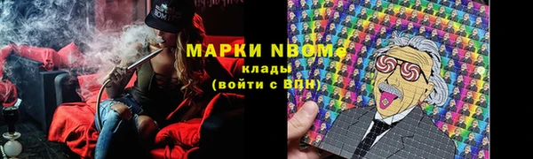 прущие крисы Белокуриха