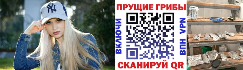 Псилоцибиновые грибы MAGIC MUSHROOMS  Котлас 